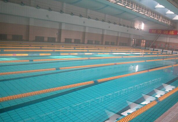 廣州珠島賓館康樂(lè)中心游泳池為室內(nèi)恒溫標(biāo)準(zhǔn)泳池，泳池水處理系統(tǒng)采用西班牙ASTRALPOOL品牌泳池設(shè)備，恒溫系統(tǒng)采用西班牙ASTRALPOOL品牌空氣源熱泵和三集一恒溫除濕一體機(jī)，我司提供技術(shù)支持及設(shè)備安裝服務(wù)。